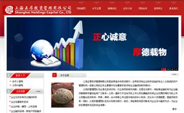 自貢黑羽網絡網頁制作案例-上海正厚投資管理有限公司